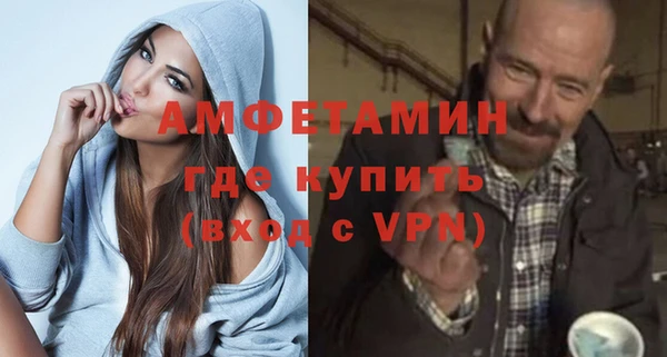 молекула духа Богданович