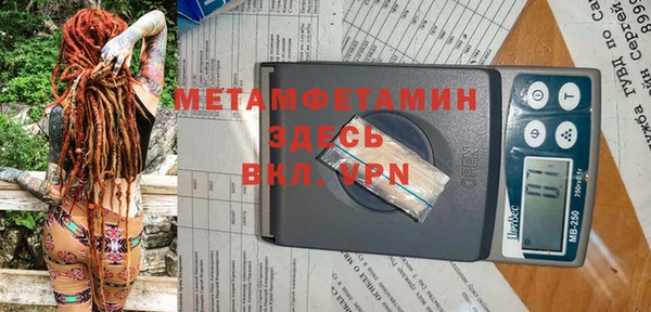 молекула духа Богданович