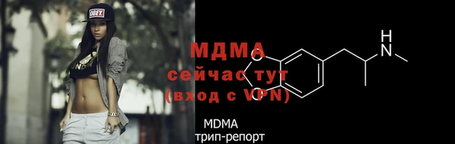 молекула духа Богданович