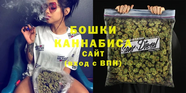 дмт Богородицк