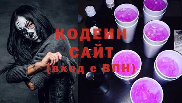молекула духа Богданович