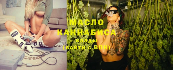 молекула духа Богданович