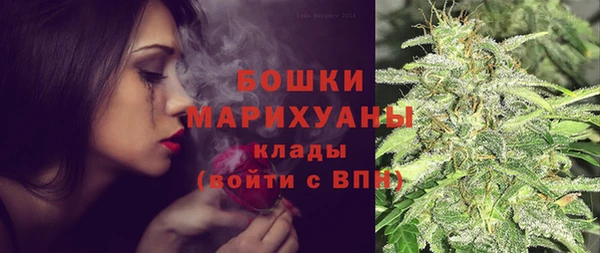 дмт Богородицк