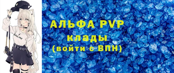молекула духа Богданович