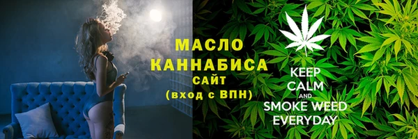 молекула духа Богданович