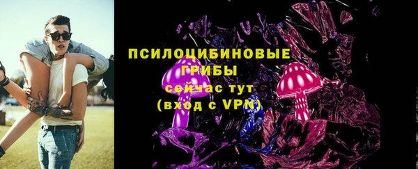 дмт Богородицк