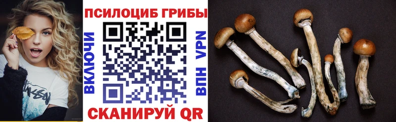 kraken ONION  Новосокольники  Псилоцибиновые грибы Magic Shrooms 