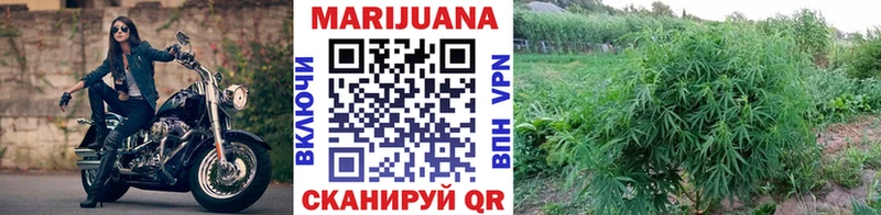 купить наркотики сайты  Новосокольники  Бошки марихуана AK-47 